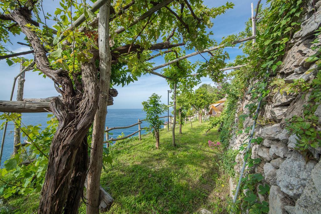 Cannaverde - Amalfi Coast Camp Villa Maiori Exterior photo